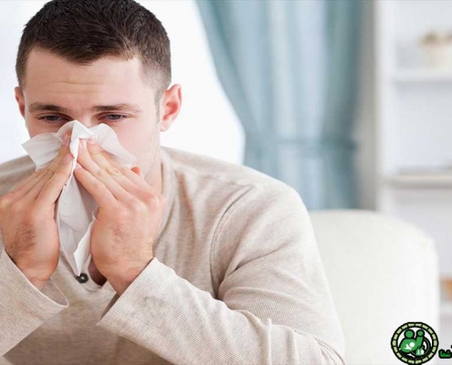 آنچه باید درباره ی تب یونجه بدانیم