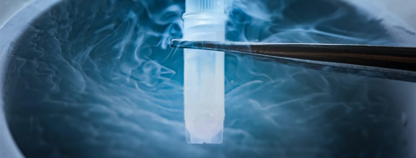 فریز نمودن تخمک چگونه است؟