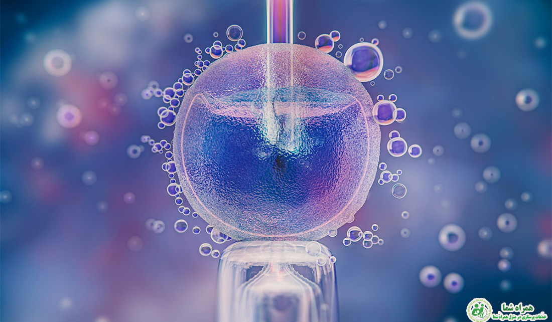 فریز نمودن تخمک چگونه است؟