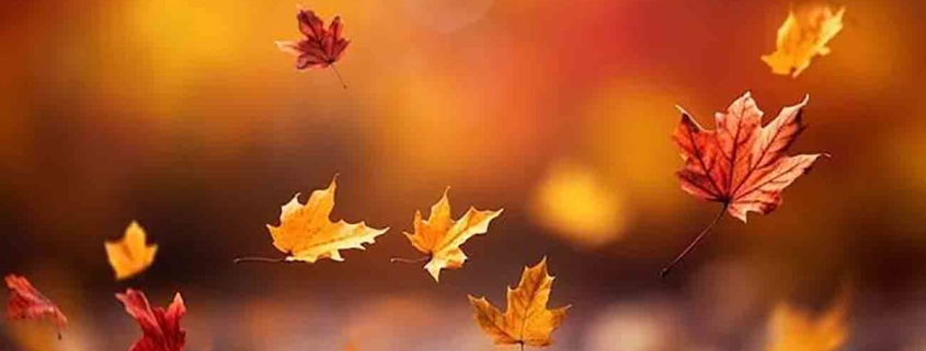  مراقبت‌های فصل پاییز چگونه خود را از سرماخوردگی دور نگه داریم؟